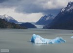 Gletscher Grey